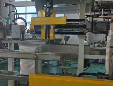 คุณภาพ  Dual-Lane Salt Packaging Machine Line - High-Capacity Salt Packaging Solution โรงงาน